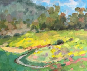 Summer Path