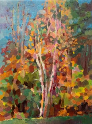 Harvest of Colors in Maine